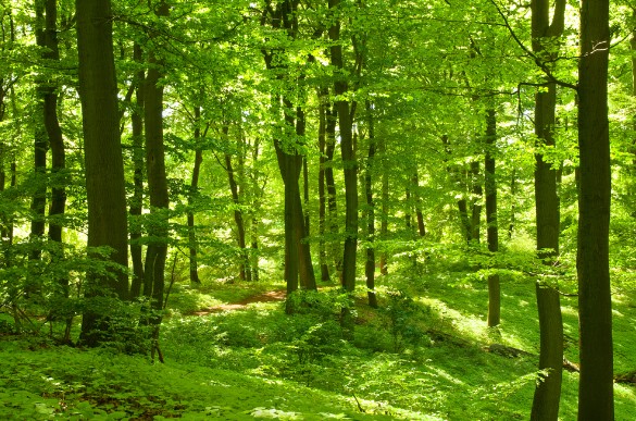 (photo: shutterstock)